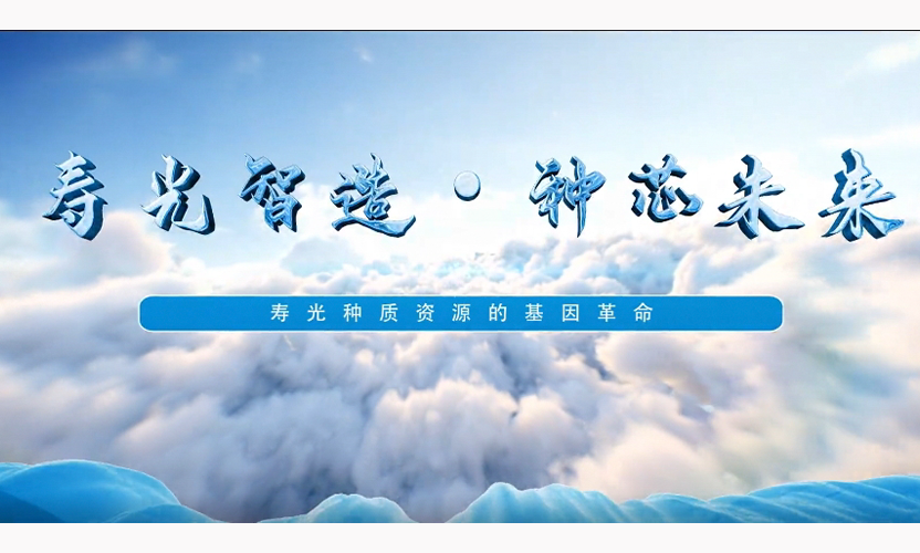 20250523-科技支撑（寿光）.png