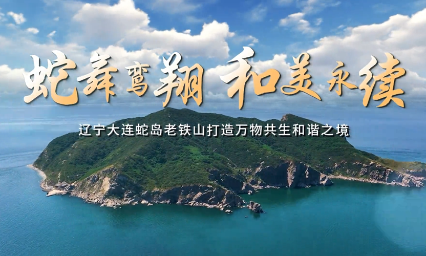 20250523-科技支撑（辽宁大连蛇岛）.png