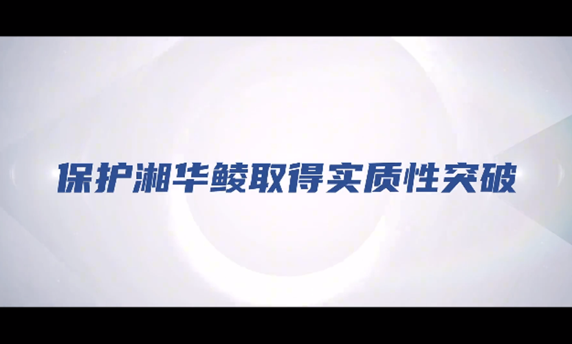 2025-5-30-4轮播.png
