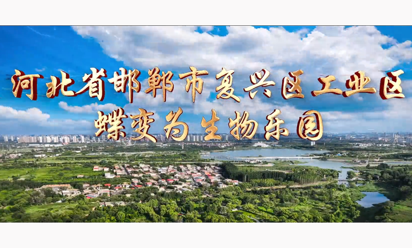 2025-6-3-1轮播.png