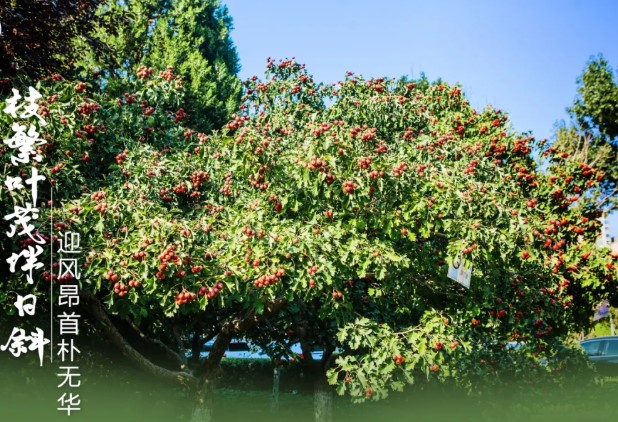 光影环科院-4.jpg