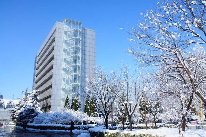 冬季雪景1号楼.jpg